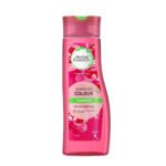 Cillerlook Protein Shampoo